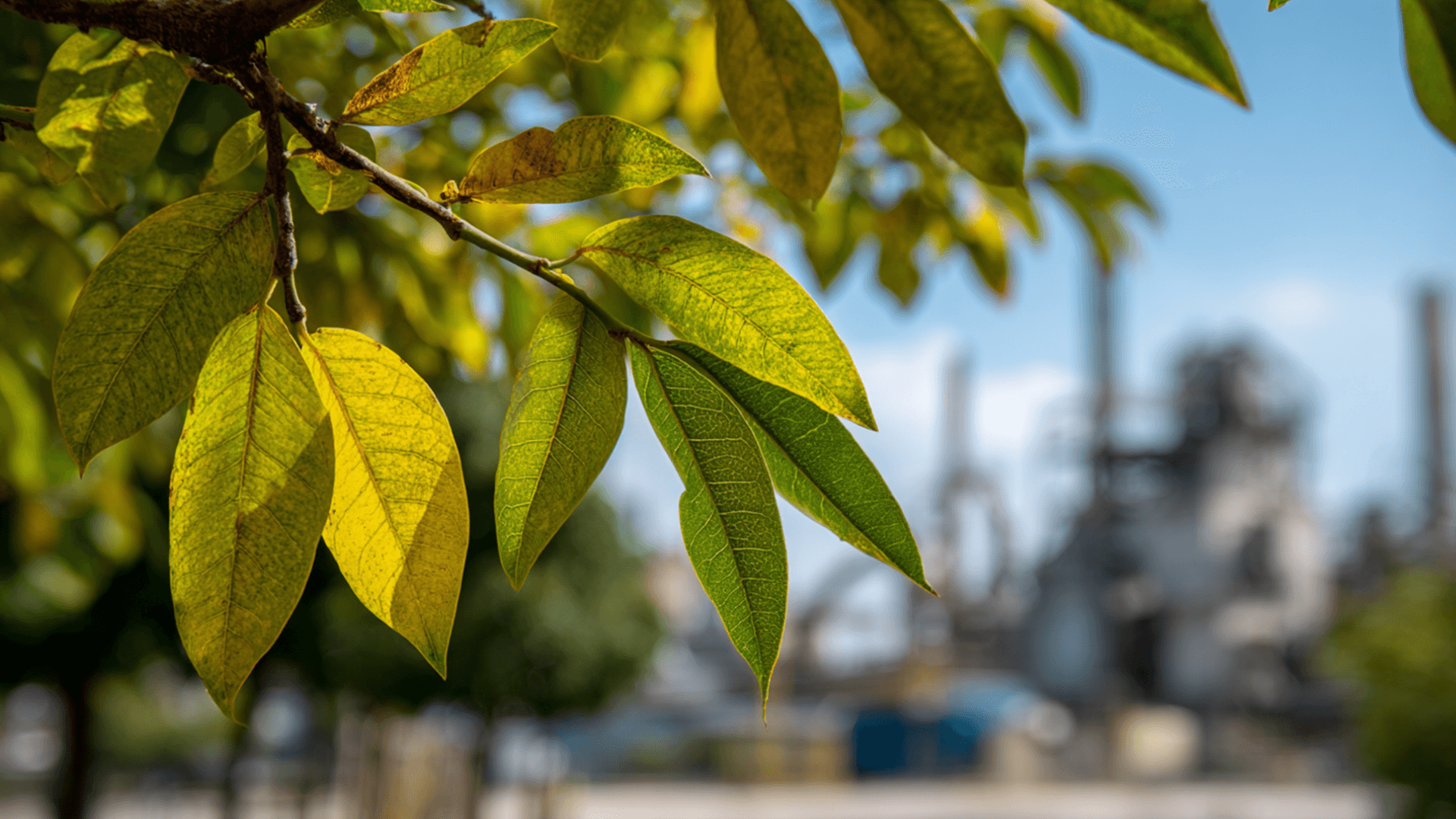 ESG-позиционирование